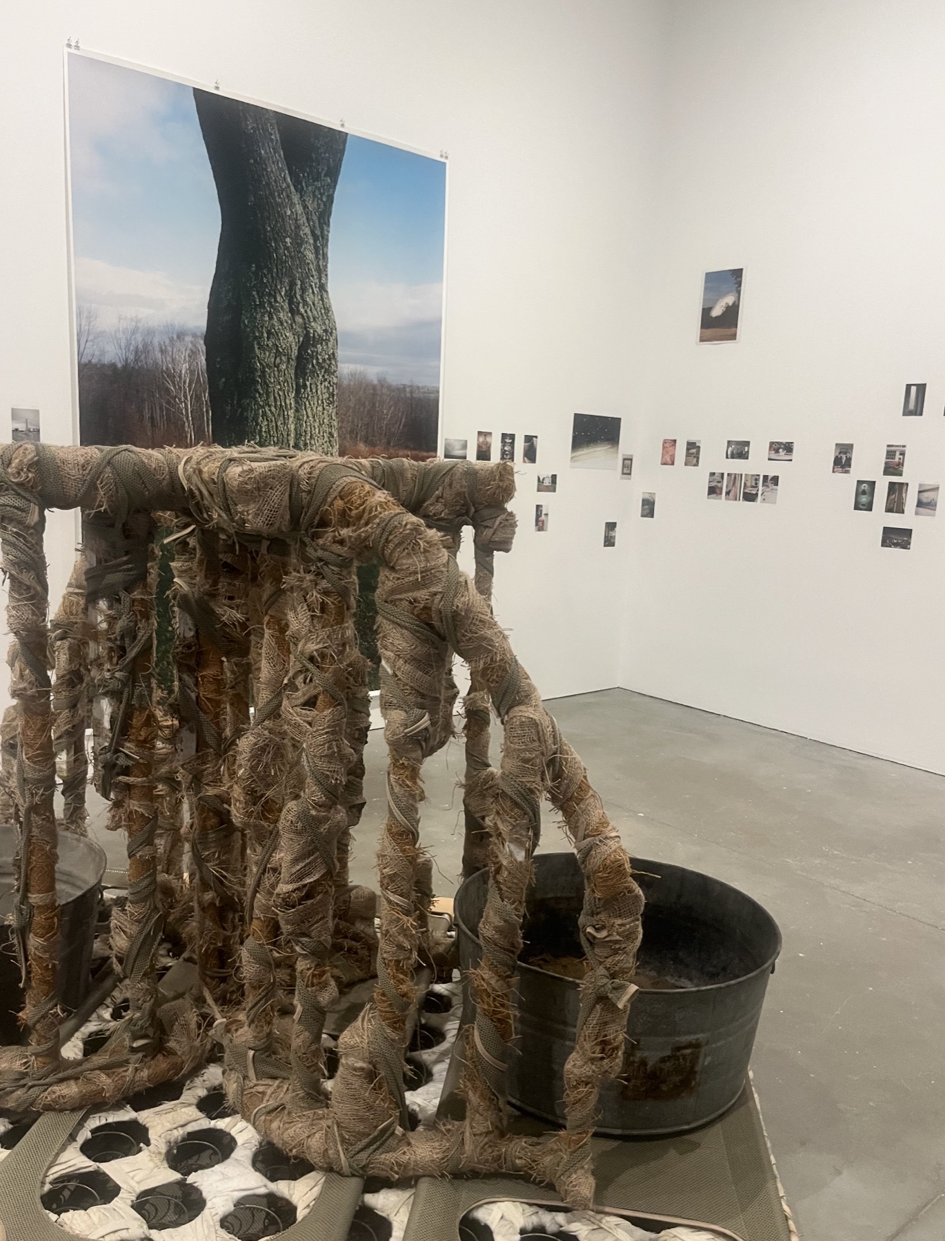 A woven fiber sculpture installation in a gallery, photographed by Veronika